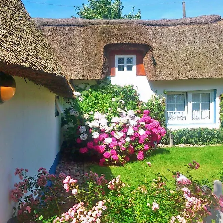 Prázdninový dům Foehrer Friesenkate West