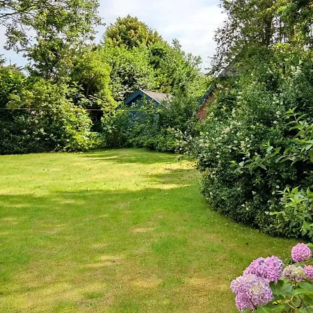 Foehrer Friesenkate West *